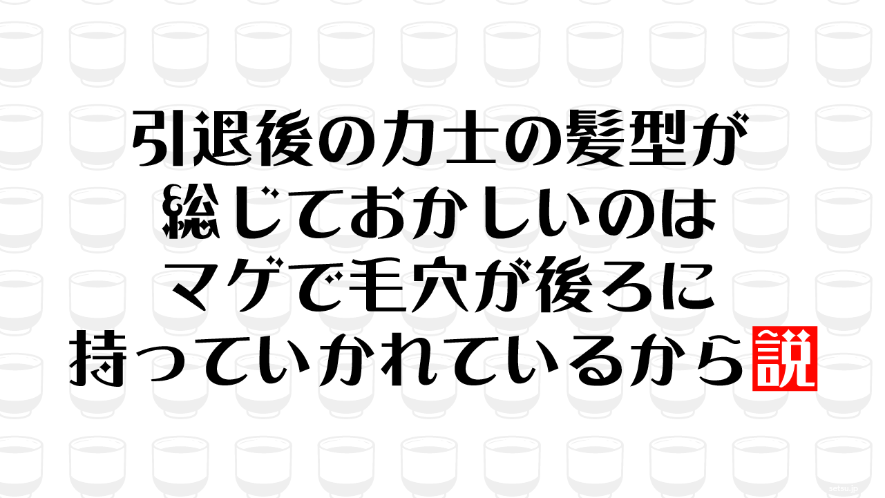 引退後の力士の髪型が総じておかしいのはマゲで毛穴が後ろに持っていかれているから説
