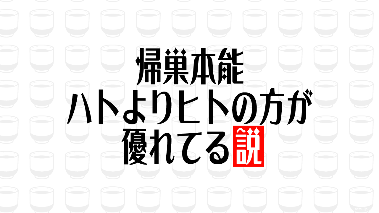 帰巣本能 ハトよりヒトの方が優れてる説