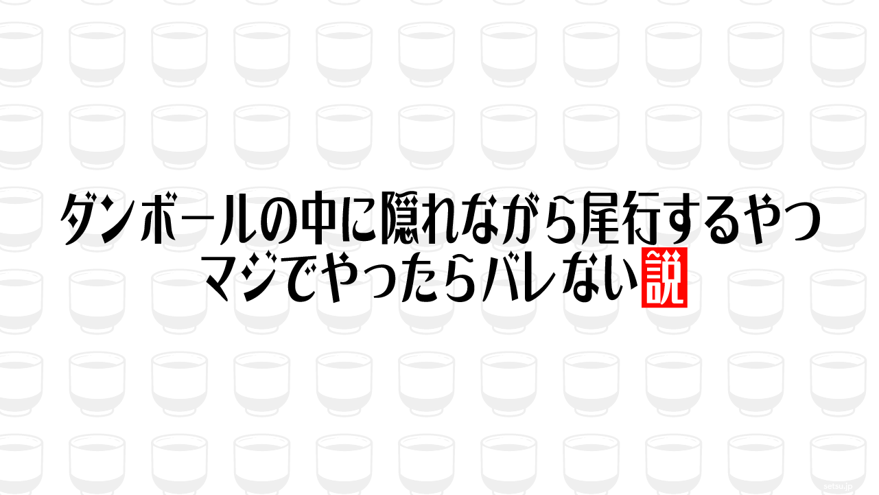 ダンボールの中に隠れながら尾行するやつ マジでやったらバレない説