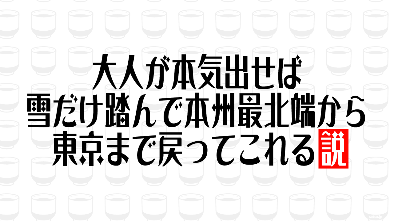 大人が本気出せば雪だけ踏んで本州最北端から東京まで戻ってこれる説