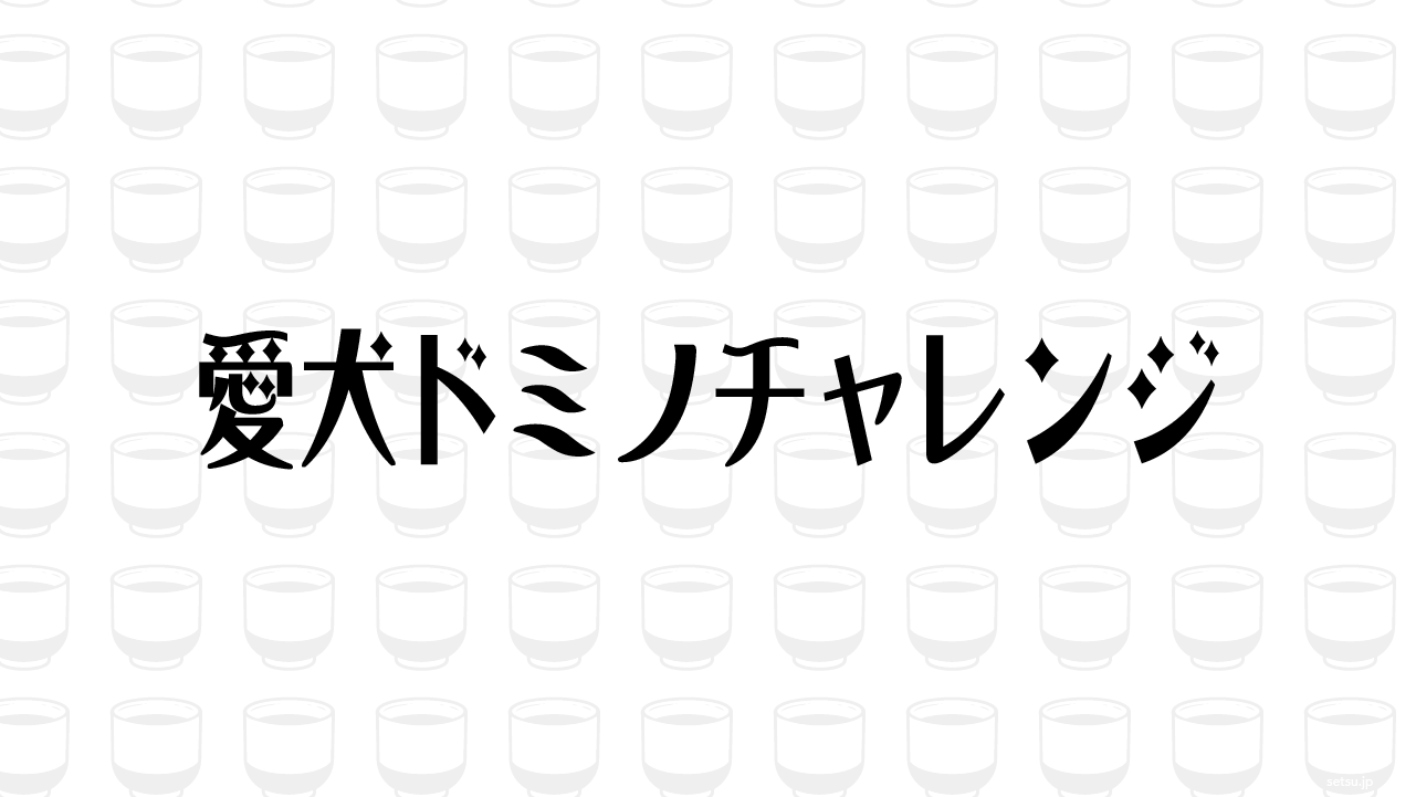 愛犬ドミノチャレンジ