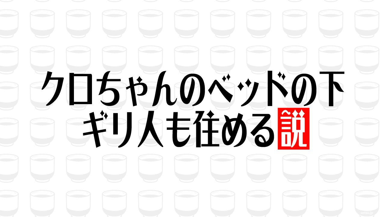 クロちゃんのベッドの下 ギリ人も住める説