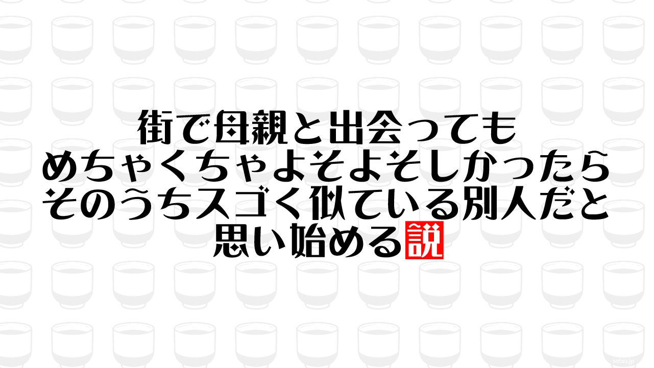 街で母親と出会ってもめちゃくちゃよそよそしかったら そのうちスゴく似ている別人だと思い始める説