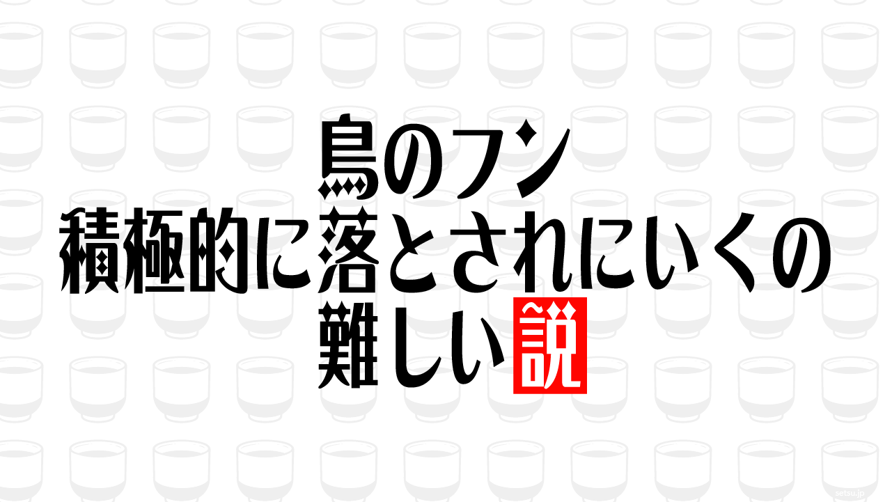 鳥のフン 積極的に落とされにいくの難しい説