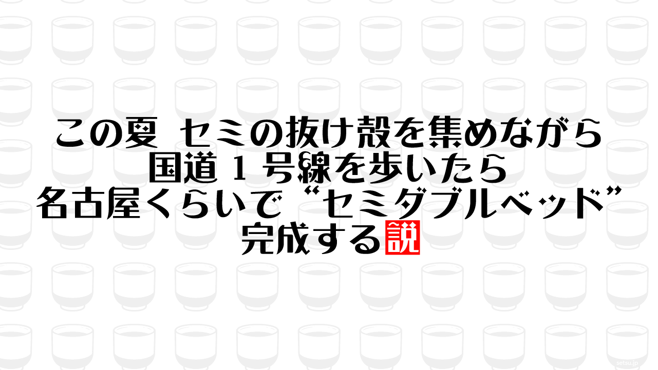 この夏 セミの抜け殻を集めながら国道1号線を歩いたら名古屋くらいで“セミダブルベッド”完成する説