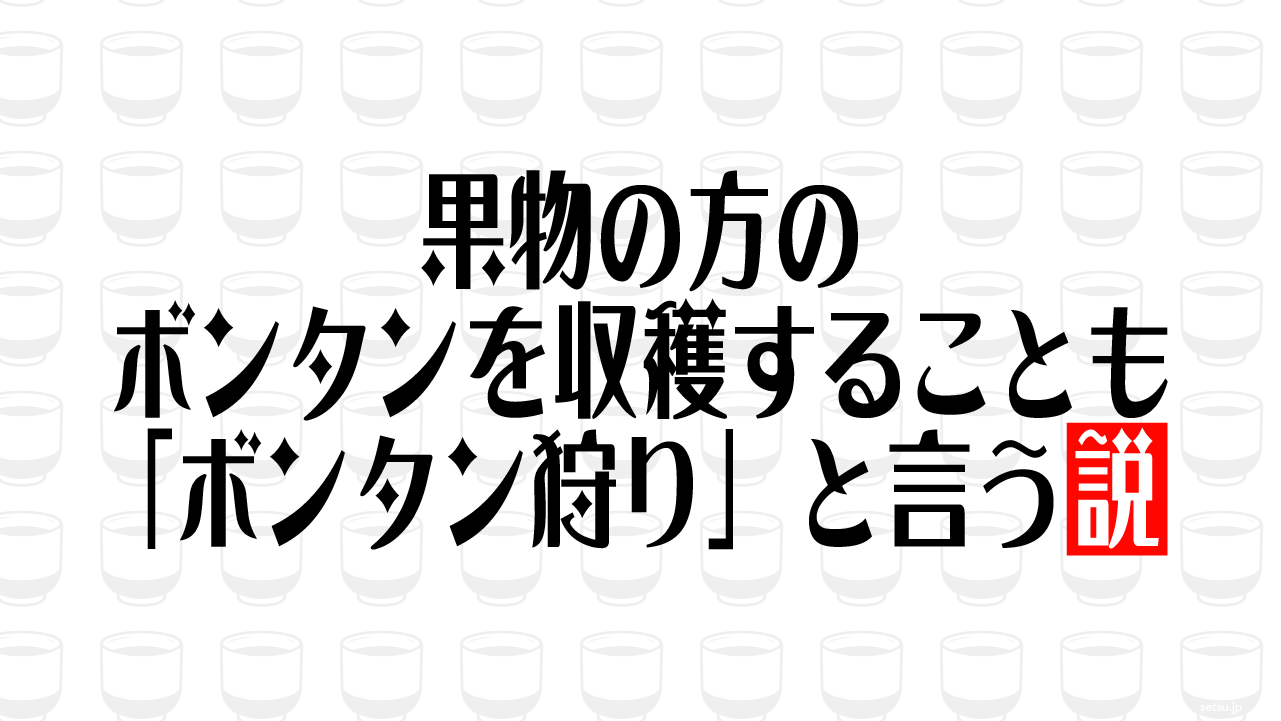 果物の方のボンタンを収穫することも「ボンタン狩り」と言う説