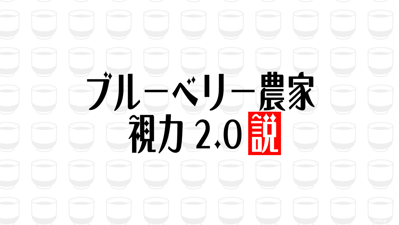 ブルーベリー農家 視力2.0説