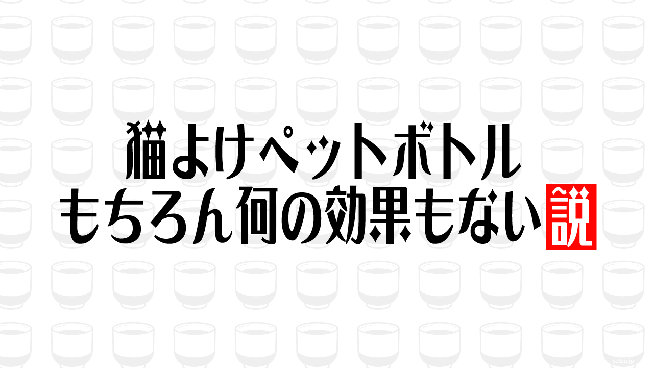 猫よけペットボトル、もちろん何の効果もない説